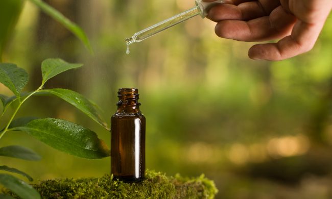 12º Licenciatura Homeopatía – Mes 4